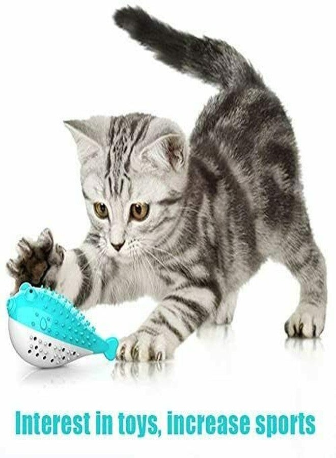 Pups&Pets Pet Cat Kitten TPR Puffer Fish Toothbrush Catnip Molar Soft Bite Chew Play Toy - Color May Vary - Image 5